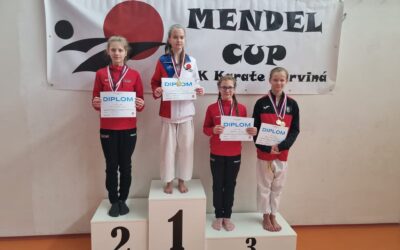 1.kolo karate beginner MSK 2023 a GRAND PRIX Žilina 2023