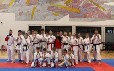 Mistrovství MSKe v karate – Havířov