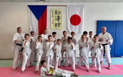 Zkoušky „stupně technické vyspělosti“, na bílý, žlutý, oranžový a zelený pásek